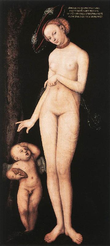CRANACH, Lucas the Elder Venus and Cupid dsf France oil painting art